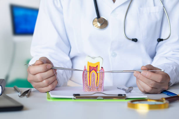 Best Root Canal Emergency Dentist  in Stoneville, NC